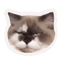 Cat Sticker