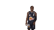 Sport Basketball Sticker by HAKRO Merlins Crailsheim
