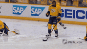 ice hockey pk subban GIF by NHL