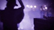 concert stage GIF by The Lumineers