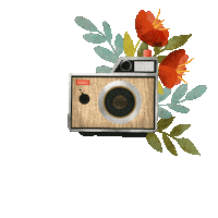 TraceyCapone new post flowers coming soon vintage camera Sticker
