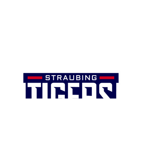 arbeitssuche straubing