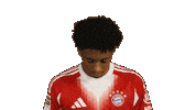 Fc Bayern Sticker by Bundesliga