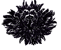 Queen Of The Night Sticker by Hey Violet