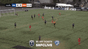 seattle reign soccer GIF by Houston Dash