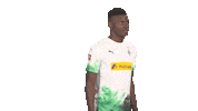 Posing Line Up Sticker by Bundesliga