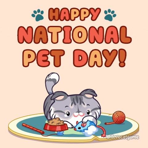 Celebrate Cat Food GIF by Mino Games