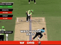 Brisbane Heat GIF