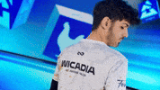 Esports Turkey GIF by BLAST