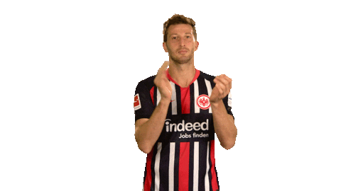 Eintracht Frankfurt Yes Sticker by Bundesliga