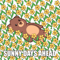 Happy Teddy Bear Sticker by BEARISH