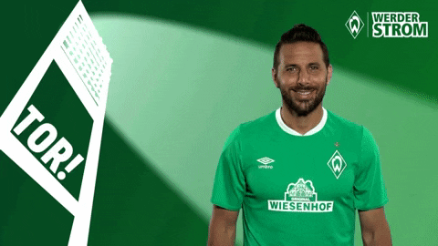 Claudio Pizarro Yes GIF by SV Werder Bremen