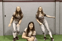 fhusoftball softball splits fhu fhusoftball GIF