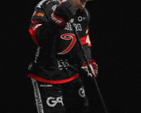 Hockey Liiga GIF by JYP