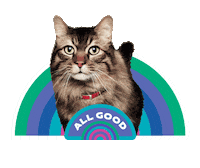 Dog Food Rainbow Cat Sticker by Hill's Pet Nutrition EMEA