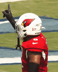 Budda Baker Football GIF by Arizona Cardinals