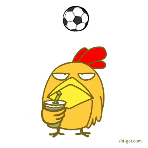 football soccer GIF by ShiGai