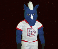 Dab Spirit GIF by Providence Day School