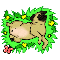 Dog Puppy Sticker by Livia Farkas @ urban:eve