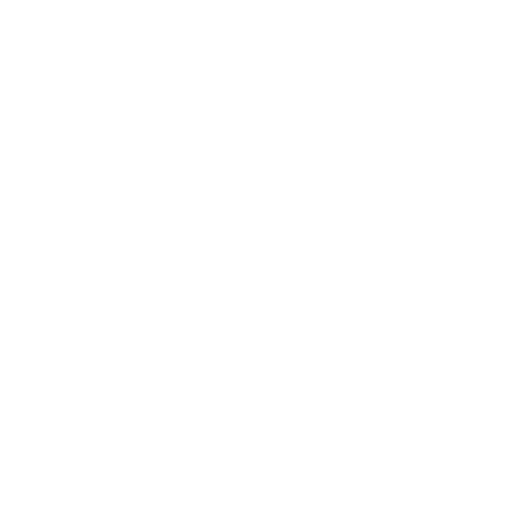 Estrella Destello Sticker