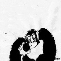 Animation Domination Fox GIF by gifnews