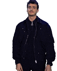 Henri Pfr Sticker by The Voice Belgique