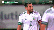 Futbol Mexicano Football GIF by MiSelecciónMX