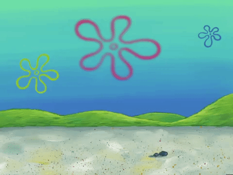 season 4 GIF by SpongeBob SquarePants