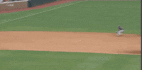 college baseball sport GIF by NCAA Championships