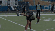 Sevens Sfe GIF