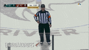 ice hockey GIF by Arizona Coyotes