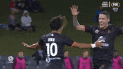brisbaneroar happy football celebration celebrate GIF