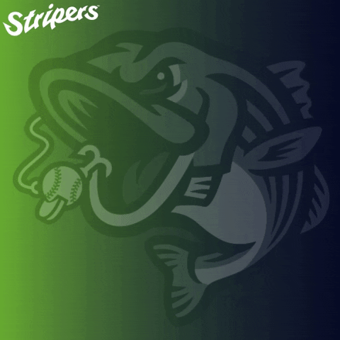 GoStripers double gwinnett stripers GIF