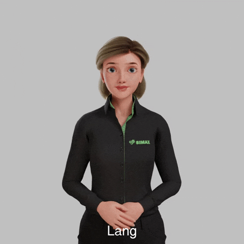 Avatar Gebärdensprache GIF by Sign Time - SiMAX