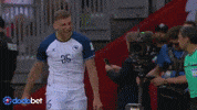 Bosnia And Herzegovina GIF by DODO Social