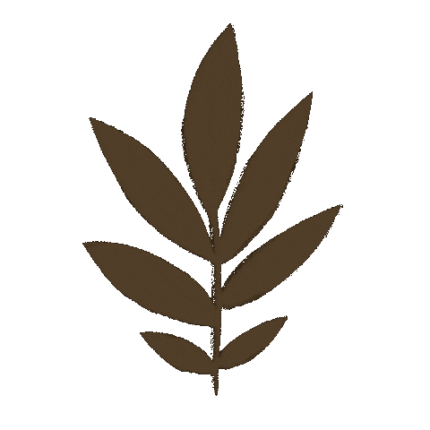 d_vigl giphyupload plant leaf brown Sticker