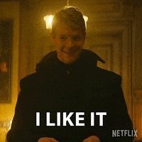 I Like It Sb GIF by NETFLIX