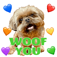 Zorro Shih Sticker by Pimp Yo Pets