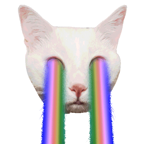 Rainbow Cats Sticker
