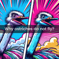 Muscle Flight GIF by ExplainingWhy.com