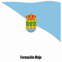 Flag Spain GIF by Formación Ninja