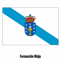 Flag Pixel Art GIF by Formación Ninja