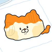 Sad Cat GIF by LINE FRIENDS