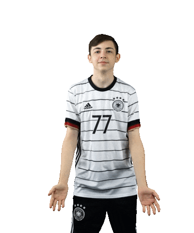 Germany Swipeup Sticker by DFB-Teams