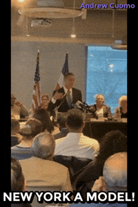 New York Model GIF by Andrew Cuomo