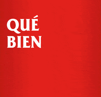 Amstel_ES beer ok perfect cerveza GIF