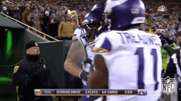 Minnesota Vikings Football GIF by NFL