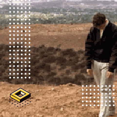 paolahincapie giphyupload GIF