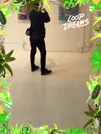 loopdreams by Loop Dreams GIF Booth