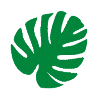 Lovea-officiel nature green aloha palm Sticker